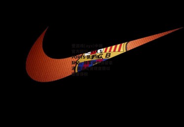 爱游戏(ayx)中国官方网站_AYX SPORTS-凯尔特人队记，绿军倾向保留豪泽 或送走普理查德以避奢侈税