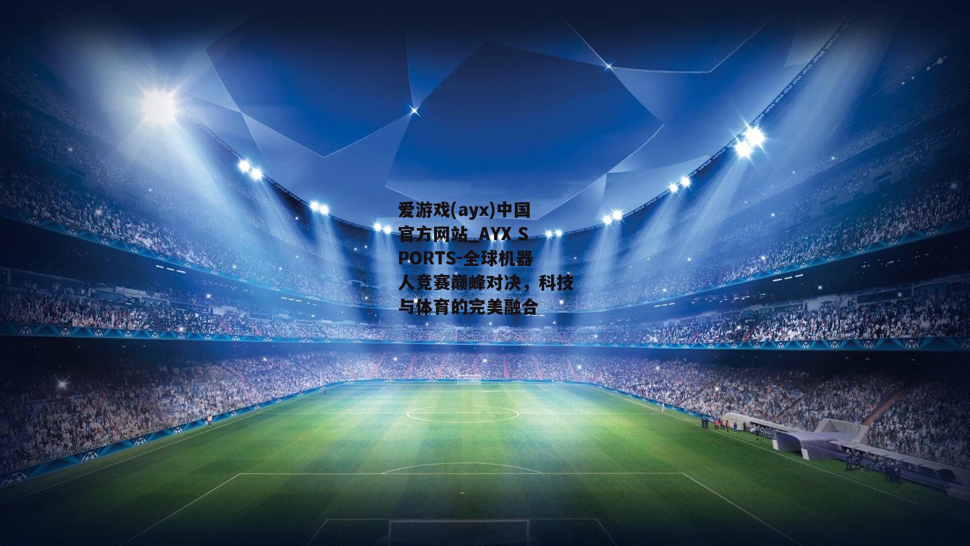 全球机器人竞赛巅峰对决，科技与体育的完美融合